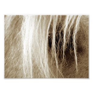 Palomino Sepia Foto Afdruk