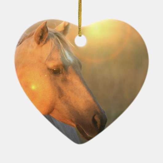 Palomino Sunset Horse Ornament (Achterkant)