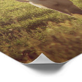 Palomino Sunset Poster (Hoek)