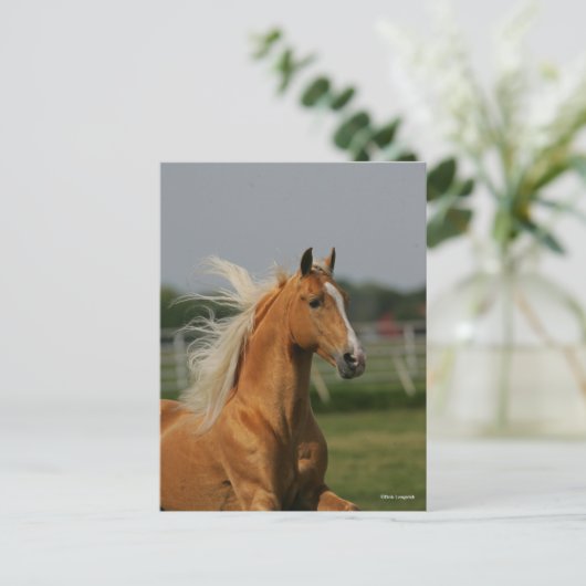 Palomino Tennesee Walking Horse Stallion Briefkaart (Staand voorkant)
