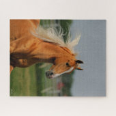 Palomino Tennesee Walking Horse Stallion Legpuzzel (Horizontaal)