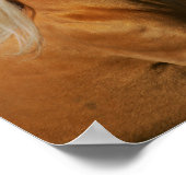 Palomino Tennesee Walking Horse Stallion Poster (Hoek)