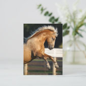Palomino Tennessee Walker Stallion Rearing Briefkaart (Staand voorkant)
