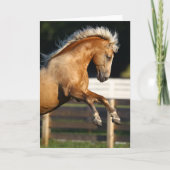 Palomino Tennessee Walker Stallion Rearing Kaart (Voorkant)