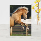 Palomino Tennessee Walker Stallion Rearing Kaart (Gele Bloem)