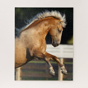 Palomino Tennessee Walker Stallion Rearing Legpuzzel