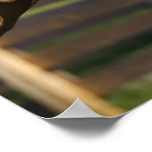 Palomino Tennessee Walker Stallion Rearing Poster (Hoek)