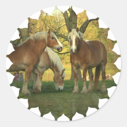 Palomino trekpaarden Stickers (Voorkant)