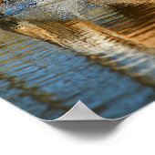 Palomino Waters Poster (Hoek)