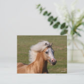 Palomino Welsh Pony Headhot Mane Flowing Briefkaart (Staand voorkant)