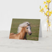 Palomino Welsh Pony Headhot Mane Flowing Kaart (Gele Bloem)