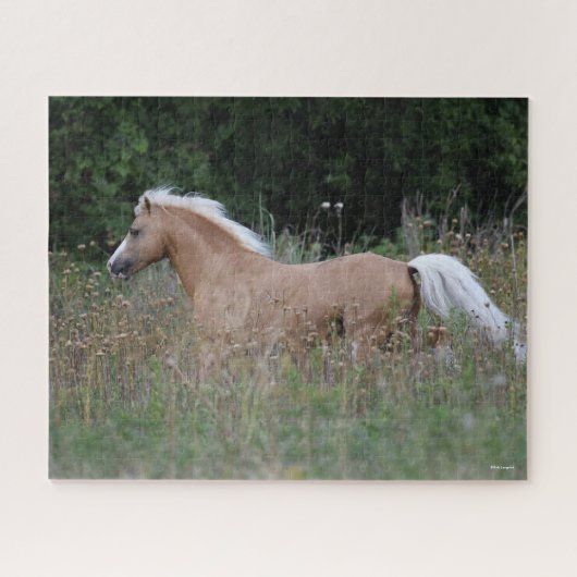 Palomino Welsh Pony met lange gras Legpuzzel (Horizontaal)