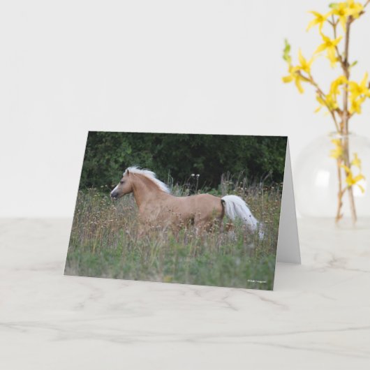 Palomino Welsh Pony Running In Long Grass Kaart (Gele Bloem)