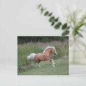 Palomino Welsh Pony Stallion Running Briefkaart (Staand voorkant)
