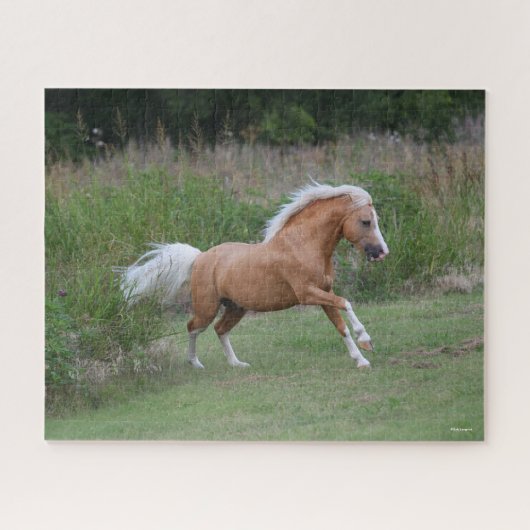 Palomino Welsh Pony Stallion Running Legpuzzel (Horizontaal)