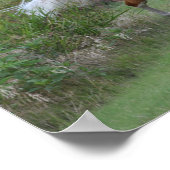 Palomino Welsh Pony Stallion Running Poster (Hoek)