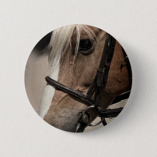 Palominopaard in Bridle Ronde Button 5,7 Cm