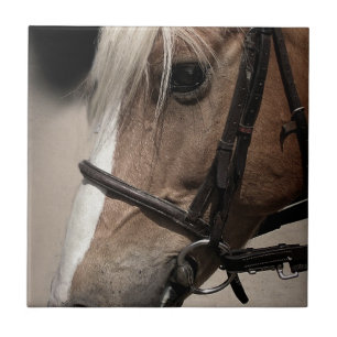 Palominopaard in Bridle Tegeltje