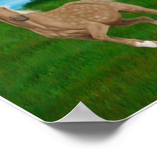 palominopaard in weide poster (Hoek)