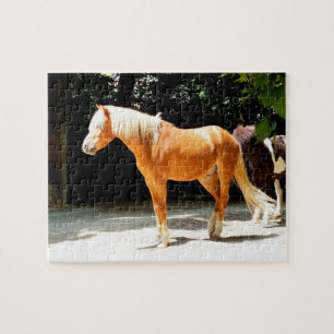 Palominopaard Legpuzzel