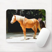 Palominopaard Muismat (Met muis)