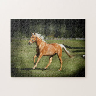palominopuzzel legpuzzel