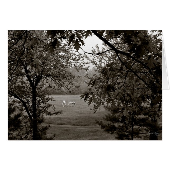 Palominos in eiken (Voorkant Horizontaal)