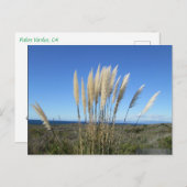 PALOS VERDES. CA #9 BRIEFKAART (Voorkant / Achterkant)