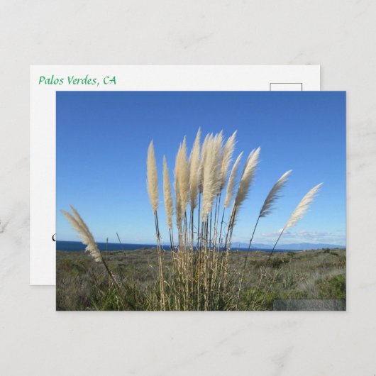 PALOS VERDES. CA #9 BRIEFKAART (Voorkant / Achterkant)