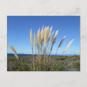 PALOS VERDES. CA #9 BRIEFKAART (Voorkant)