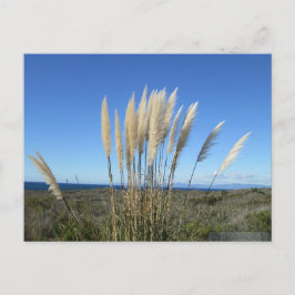 PALOS VERDES. CA #9 BRIEFKAART