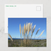 PALOS VERDES. CA #9 BRIEFKAART (Voorkant / Achterkant)