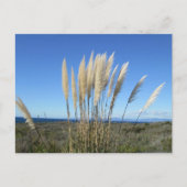 PALOS VERDES. CA #9 BRIEFKAART (Voorkant)