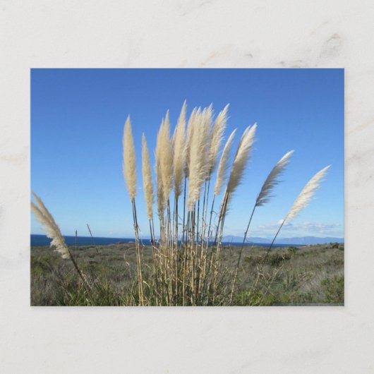 PALOS VERDES. CA #9 BRIEFKAART (Voorkant)