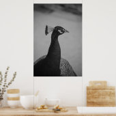 Palos Verdes Peacock Poster (Keuken)