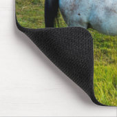 Palouse, Colfax, Palouse Area, Washington Muismat (Hoek)