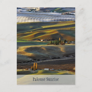Palouse Sunrise Briefkaart