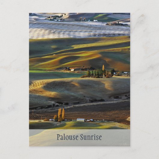 Palouse Sunrise Briefkaart (Voorkant)