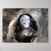 Pals afdrukken poster (Voorkant)