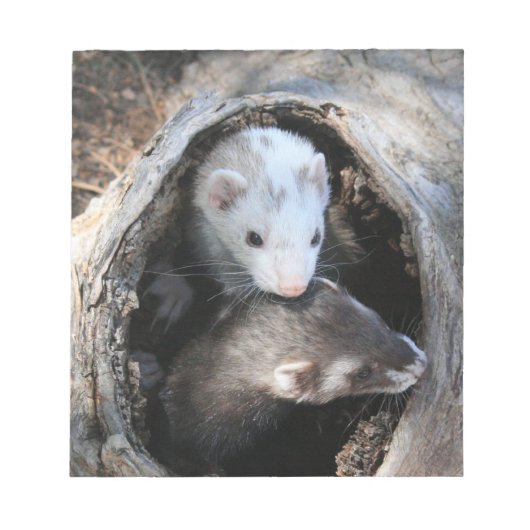 Pals Notitieblok (Voorkant)