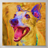 Palu Poster (Voorkant)