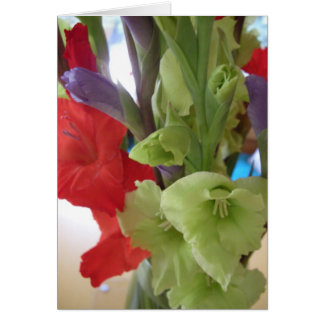 pam ' s gladiolas