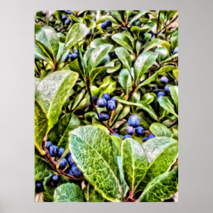 Pamela Storch - Blueberry Struik Serenade Poster