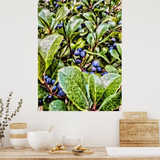 Pamela Storch - Blueberry Struik Serenade Poster (Keuken)