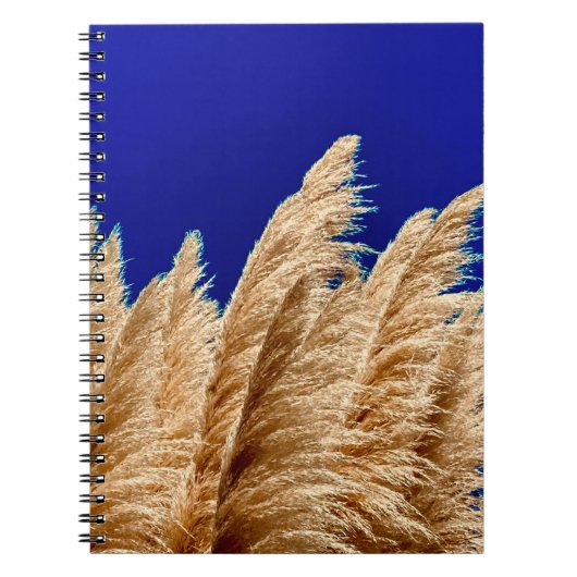Pampas en Sky Notitieboek (Voorkant)