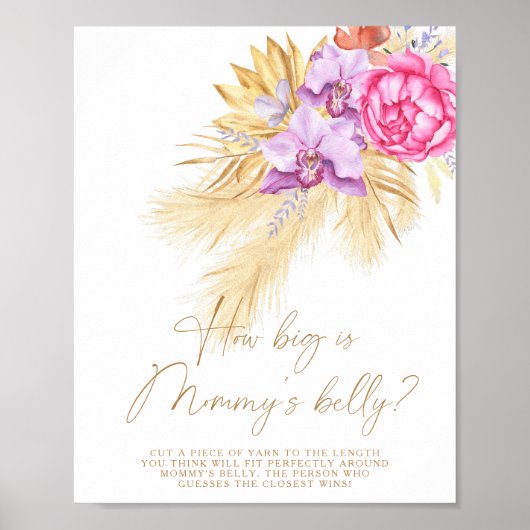 Pampas gras - hoe groot is mama's buik spel poster (Voorkant)