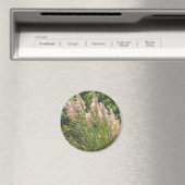 Pampas gras magneet (Insitu (Vaatwasser))