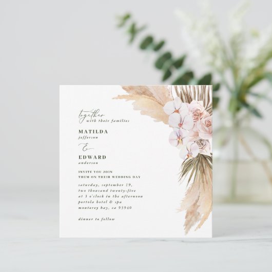 Pampas graspalm gedroogd botanische roze rustige r (Staand voorkant)