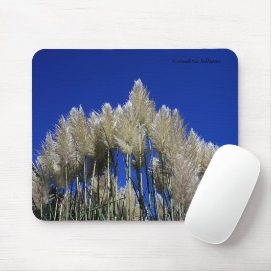Pampas Grass Mousmat Muismat (Met muis)