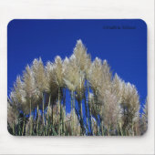 Pampas Grass Mousmat Muismat (Voorkant)